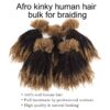 PHB Afro Kinky Curly Bulk 4B/4C Brazilian Remy 100% Human Hair
