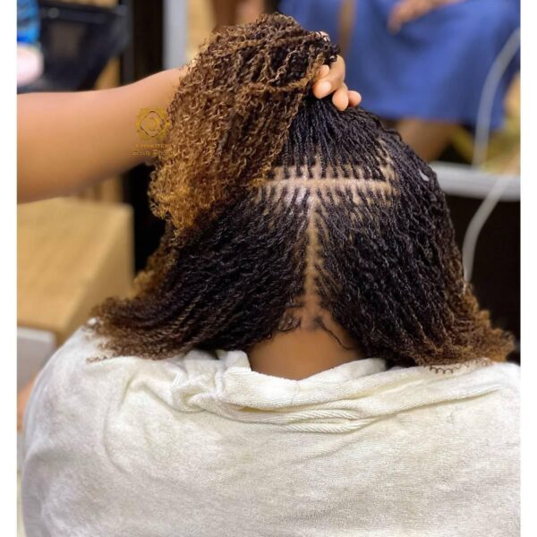 PHB Afro Kinky Curly Bulk 4B/4C Brazilian Remy Human Hair - Image 19
